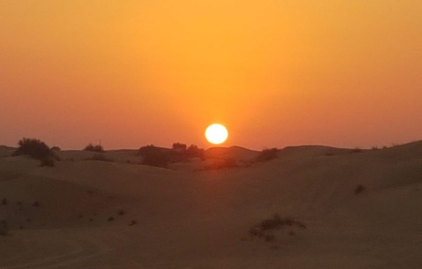 Camel Ride Safari in Red Dunes: