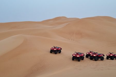 Quad Bike & Dune Buggy Inc bbq