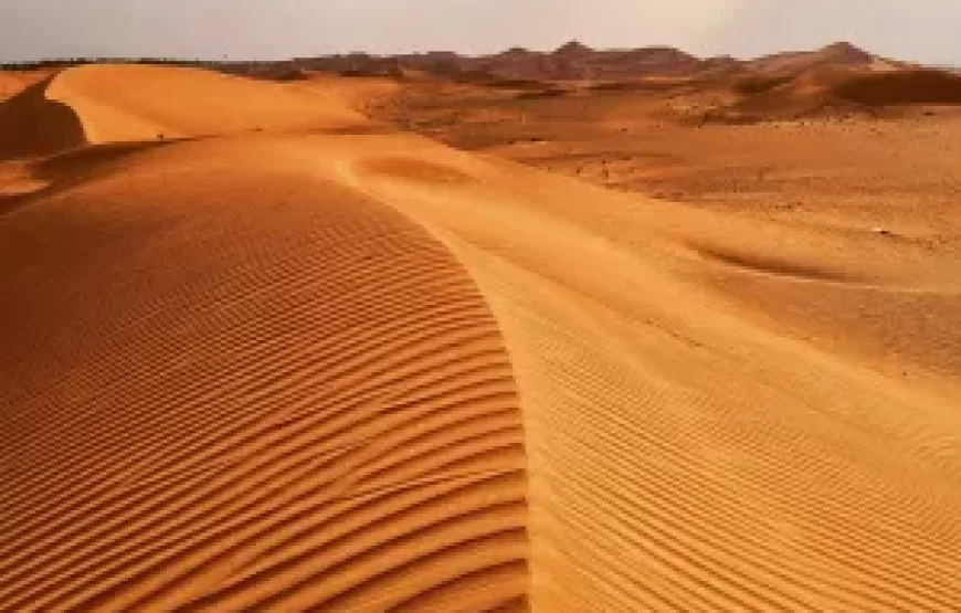 Cultural Desert Safari with dune bashing and BBQ dinner