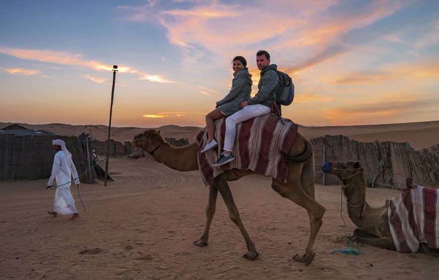 Professional Desert Safari with Camel Ride & BBQ Dinner in Bedouin Camp