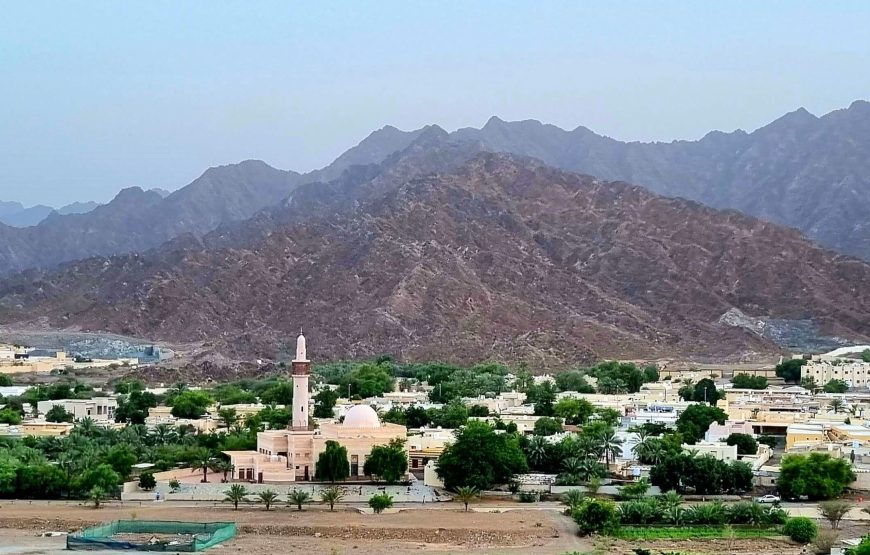 Full-Day Tour around Masfoot and Hatta Mountain with Honeybee Discovery Centre