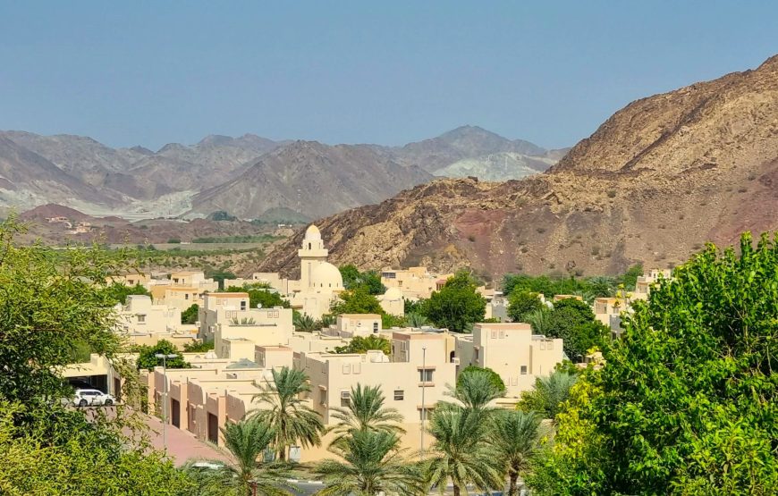 Full-Day Tour around Masfoot and Hatta Mountain with Honeybee Discovery Centre
