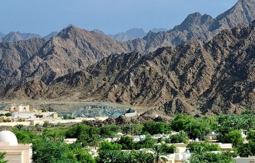 Full-Day Tour around Masfoot and Hatta Mountain with Honeybee Discovery Centre